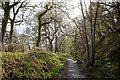 Disused railway line - Avoch to Fortrose, Black Isle