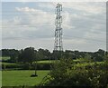 Pylon near Berkley Marsh