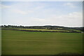 Large field by Reading - Taunton Line