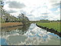 TM3890 : Waveney downstream from Geldeston footbridge by Adrian S Pye