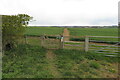 Gate on the bridleway to Ravensthorpe