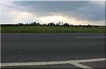 TF6204 : Field by the A10, Wimbotsham by David Howard