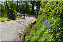 H5371 : Entrance to farm, Bancran by Kenneth  Allen