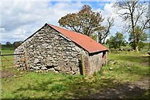 H5371 : Stone walled shed, Bancran by Kenneth  Allen