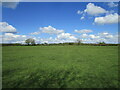 Grass field near Yew Tree Farm