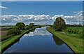 View from Pollington Bridge