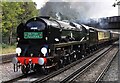 The British Pullman passing Barnes station