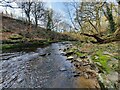 The River Derwent in a small rocky gorge at Shotley Grove