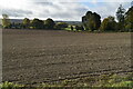 Ploughed field by Pilgrims