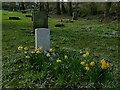 Idle Holy Trinity churchyard - Russell grave