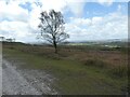 ST1116 : View south-west from Black Down Common by David Smith