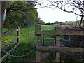 Path along west side of Daddley