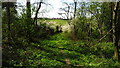 Path leading to footbridge over the River Roden at Poynton near High Ercall