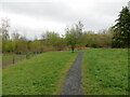 A section of the Coul Burn Walk