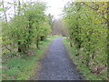 Pathway at Coul Den Nature Reserve