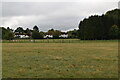 Pasture by Tandridge Border Path