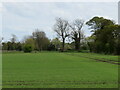 Footpath towards Low Merrybent