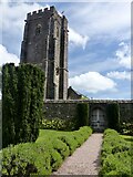 ST0519 : All Saints church, Holcombe Rogus by Marika Reinholds