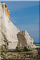 TV4898 : Stack, Seaford Head by Ian Capper