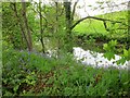 The River Dearne.