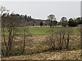 Looking across the fields to Nannau house