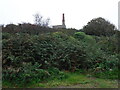 Mine chimney above the vegetation