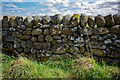 Perimeter wall of the Culloden Battlefield ground