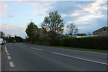 TL5175 : Ely Road, Stretham by David Howard