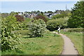 Green Chain Walk on Woolwich Common