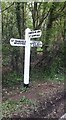 Direction Sign ? Signpost on Bell Lane in Little Bardfield parish