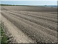 SE9560 : Furrows cutting across a small dry valley by Christine Johnstone
