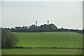 Masts, Parsonage Farm