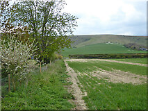 TQ4007 : Field edge down to Kingston Road by Robin Webster