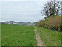 TQ4007 : Field edge east from footpath Iford 1b by Robin Webster
