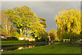 Evening Sun on the Driffield Canal