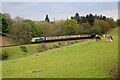 SO7289 : Severn Valley Railway - 1552 horses by Chris Allen