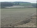 SE9159 : Chalky field, west side of Bessing Dale by Christine Johnstone