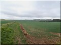 Footpath past Far Falls Farm