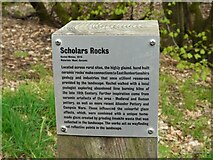 NS5575 : Information panel - Scholars Rocks by Richard Sutcliffe