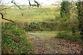 Footpath between Place and Waye Farm