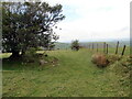 Llwybr i Gwm Cothi / Path to the Cothi Valley