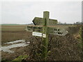 Bridleway  and  footpath  junction.  Don