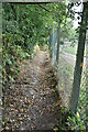 Footpath passing sewage works