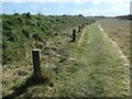 Path at Thornwick Pools nature reserve