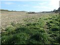 Land north of Brigg Bottom, Flamborough