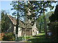 An arboreal approach to the church