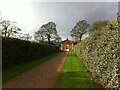 Castle Bromwich Hall Gardens: The Holly Walk, looking north towards the Orangery