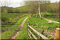 Track near Poole Cross