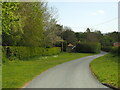 The Minor Road South of Hotham