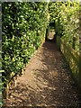 Footpath into Hotham